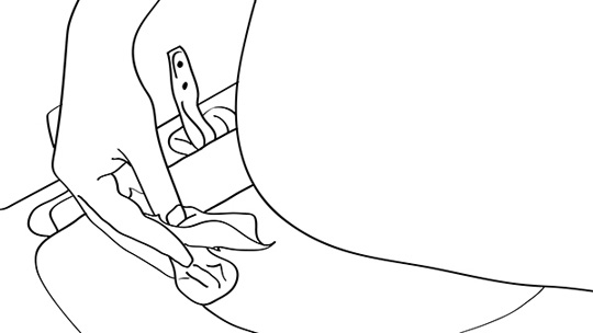 How To Wipe Your Butt: Figure 1-2